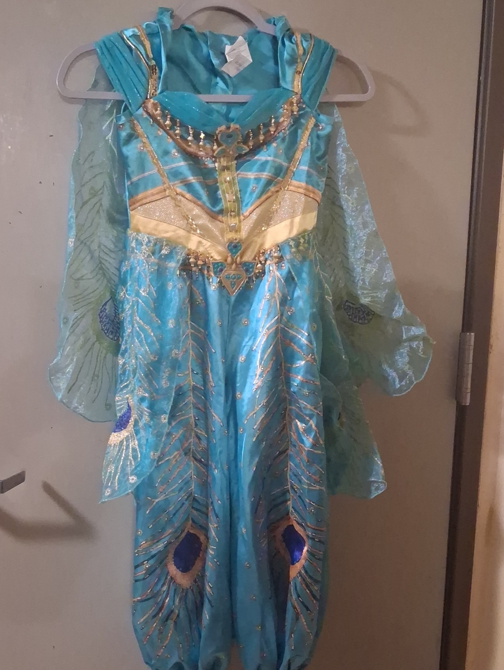 Girls Teal and Gold Peacock Princess Costume - Kids Costume
